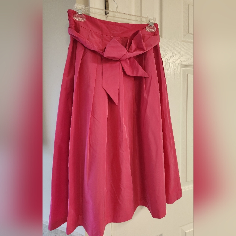 Elegant Pink Women's Skirt